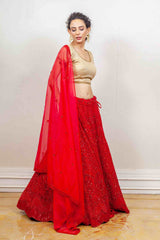 Designer Lehenga sasyafashion