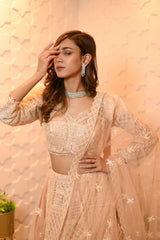 Lehenga Set