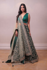 Designer Green Lehenga With Net Embedded Dupatta sasyafashion