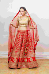 Designer Lehenga sasyafashion